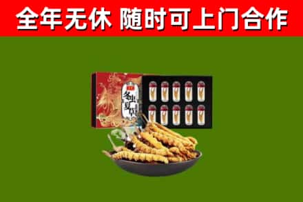 栾城区烟酒回收冬虫夏草礼盒.jpg